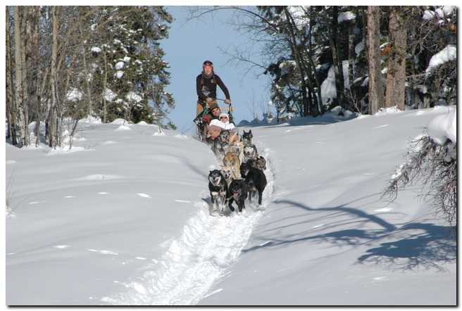 dogsledding